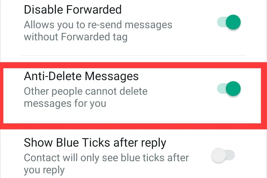 Process of activate Anti-delete Messages