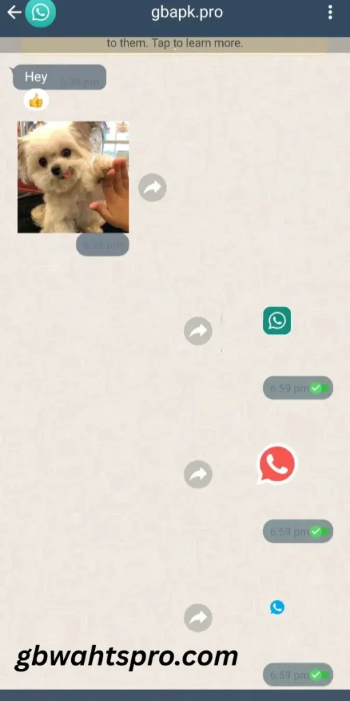 Download GBStickers Packs App for GBWhatsApp Pro – Add Fun GB WhatsApp Stickers APK (Updated) 11 Show Staker